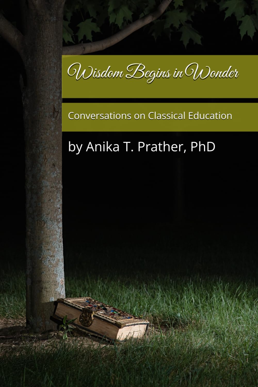 Wisdom Begins in Wonder: Conversations on Classical Education