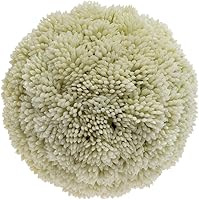 Vista 26 de Boston International Decoración topiaria de bola de bayas sintéticas, 4 pulgadas, verde té