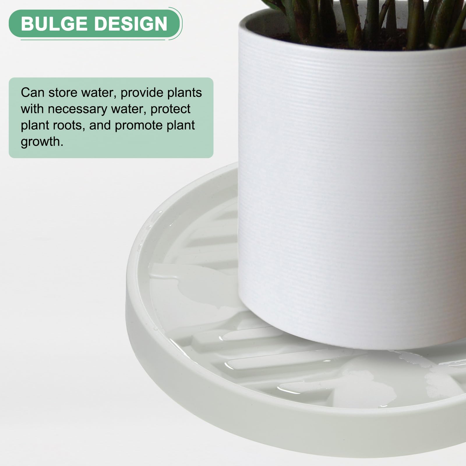 M METERXITY 2-Pack Plant Stand with Wheels - Image 4