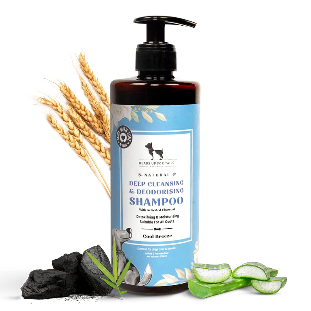 See full amazon price history chart for Heads UP for Tails Natural Shampoo (Cleansing and Deodorising Shampoo, 500 ml) Heads UP for Tails Natural Shampoo (Cleansing and Deodorising Shampoo, 500 ml) (B08P4TWVSK) Amazon Price History, Amazon Price Tracker