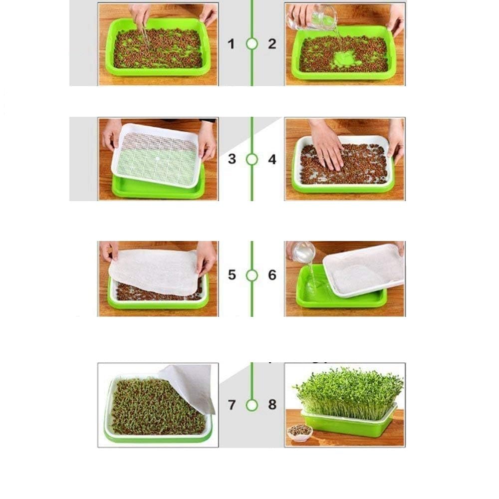 Confezione da 5 vassoi per germogliare i semi, senza BPA, vassoio per la germinazione dei semi di erba di grano sani, per giardino, casa, ufficio, in polipropilene (PP), verde, grigio