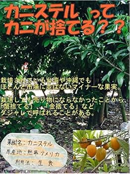 Amazon.co.jp: 期間限定 3～5月 沖縄県産カニステル 2kg エッグ