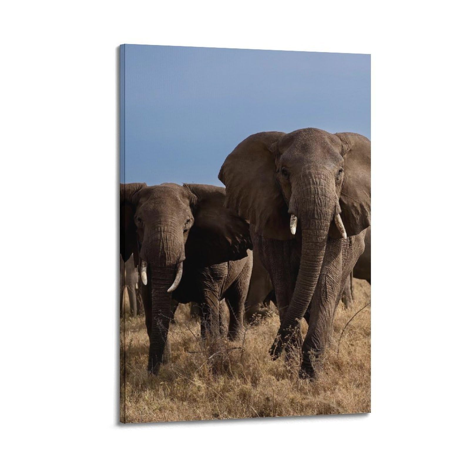 Xkuga Boys Frame-Style African Elephant Poster Migration Journey Grassland Modern Decorative Canvas Prints - Ideal Wall Art For Family, Man Cave, Game Room, & Girls Bedroom 20X30inch(50X75cm)