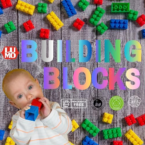 Image of Lumo Brilliant Toys 220-Piece Big Building Blocks Set for Kids - Educational and Creative Fun for Toddlers and Preschoolers