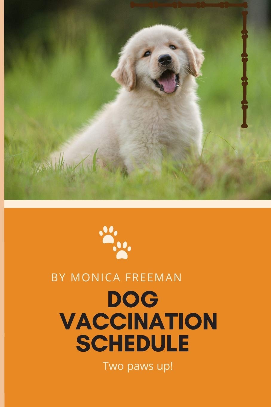What Is The Vaccine Schedule For Puppies