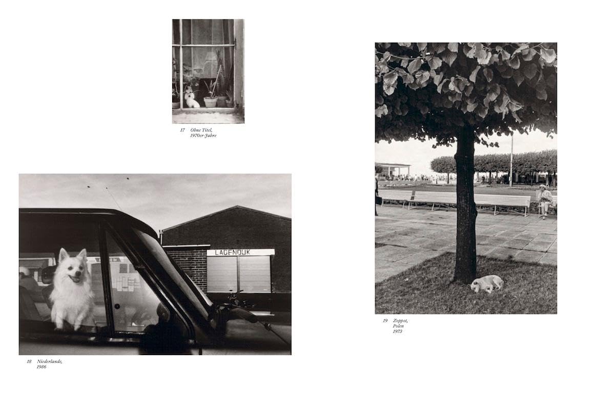 Sibylle Bergemann: Stadt Land Hund. Photographs 1966–2010 (Fotografie)