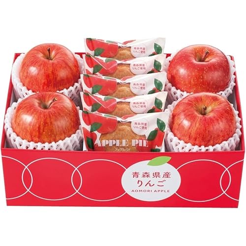 2025NΕW XYTӂ񂲁AbvpC H-APR