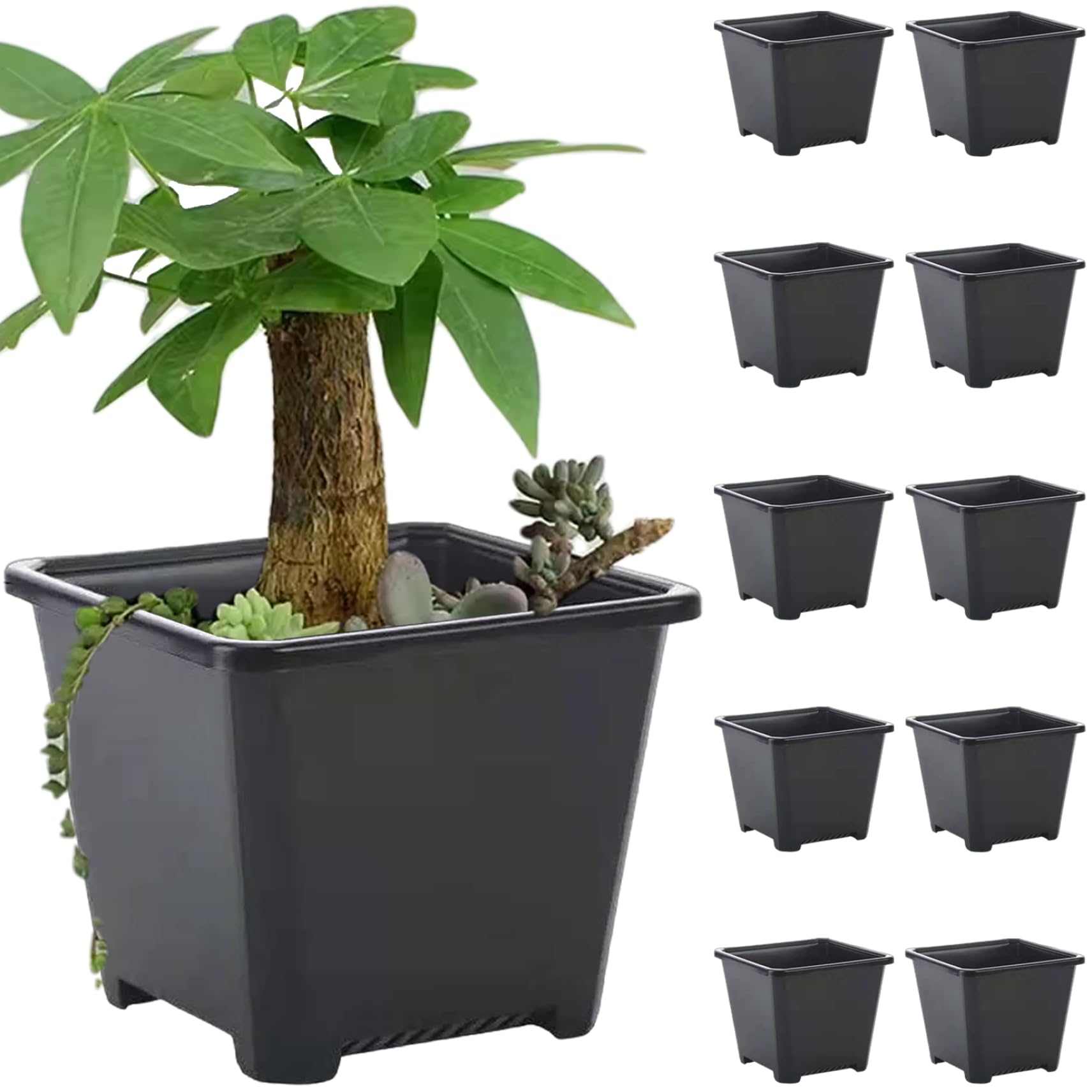 ptumcial Garden Pots 10Pcs Square Nursery Pots, Lightweight Plastic Garden, Thicken Square for Plants, Flower Plant Containers Gardening for Indoor Outdoor