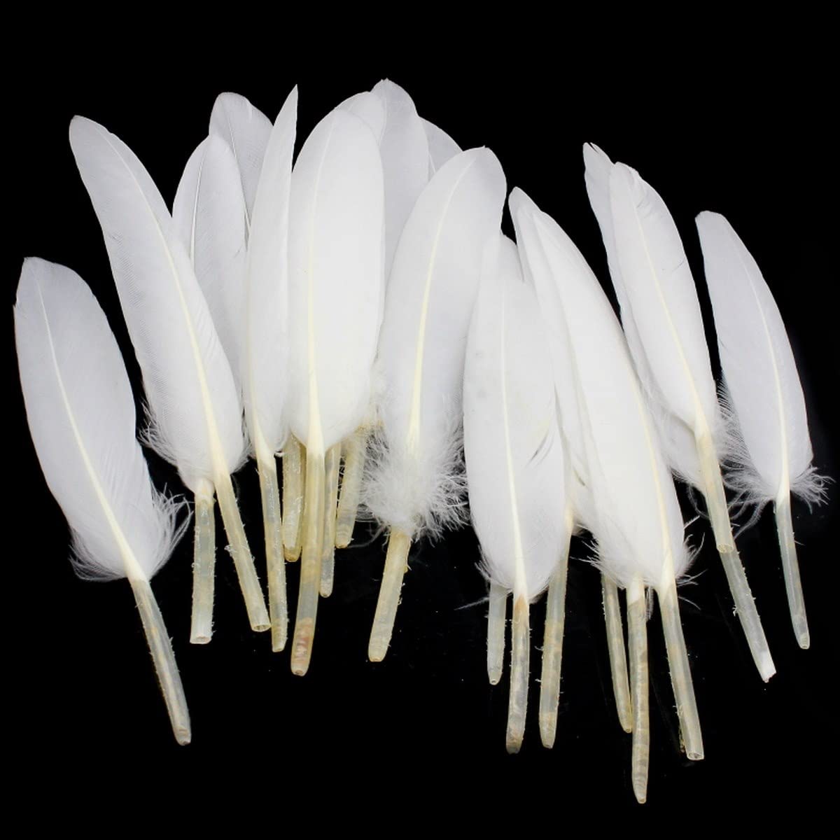 Aadya Crafts Feather Artificial Small Size White Colour 20 Pieces