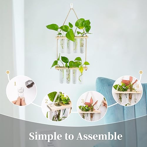 Miniatura 4 de Maceta de cristal para colgar en la pared, moderna, encantadora terrario con soporte de madera, jarrón de tubo de ensayo, soporte para maceta de