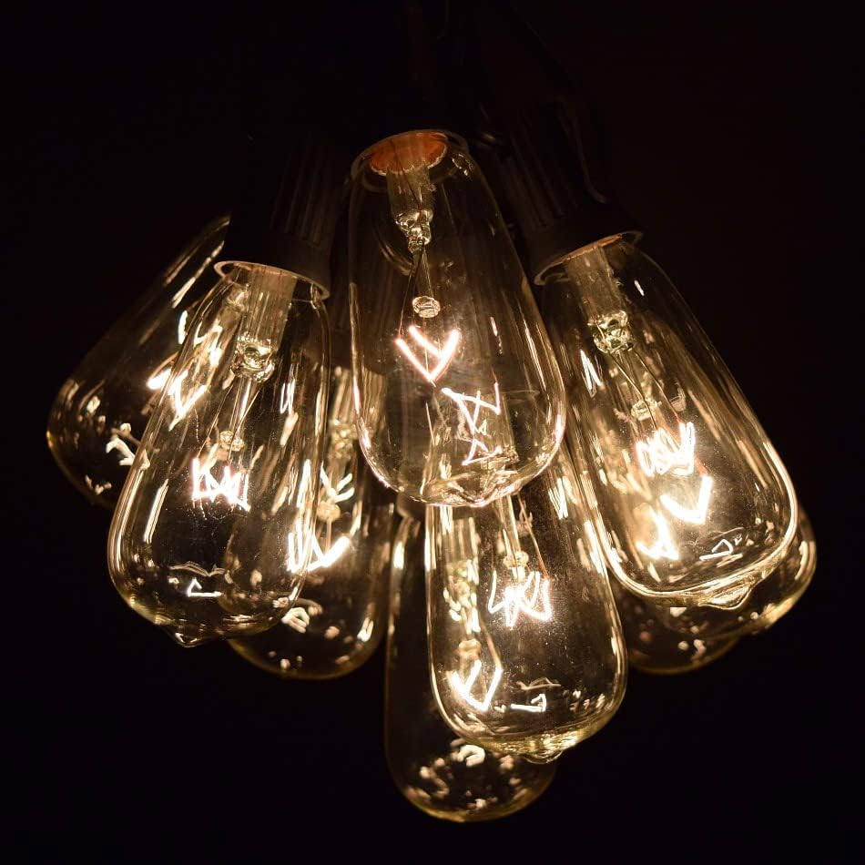 Hometown Evolution, Inc. Vintage Edison Outdoor String Lights (ST40 Clear - Black Wire, 25 ft)
