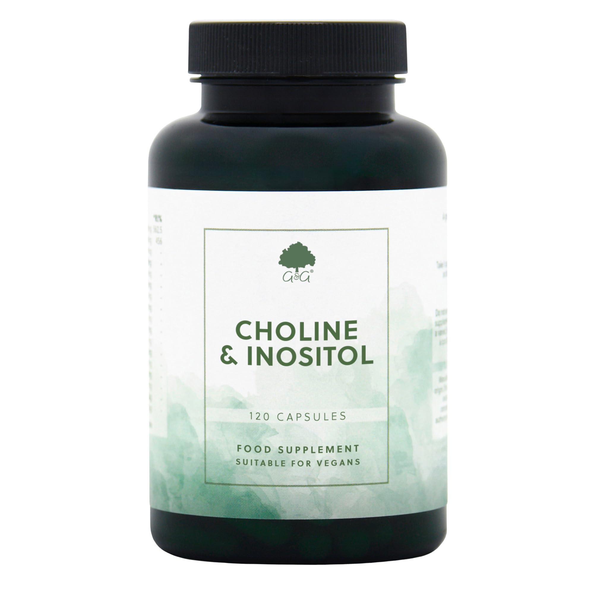 Choline & Inositol Capsules - 120 Vegan Capsules - G&G Vitamins