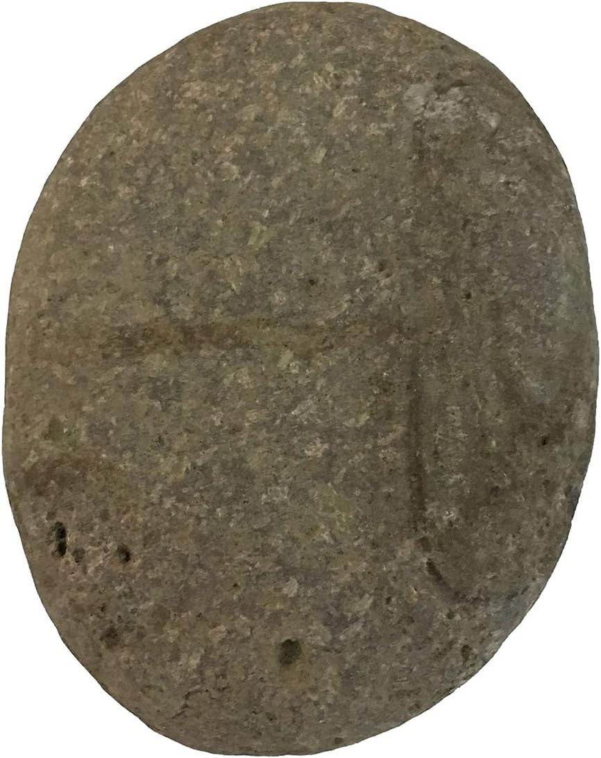 juexiyarticle 1Pc Large Smooth Flat River Stones for Painting,Natural Decorative Pebbles Rocks for Turtle Basking,10-15cm - Image 4