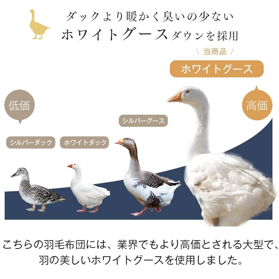 Amazon｜タンスのゲン 羽毛布団 シングル【コインランドリーで