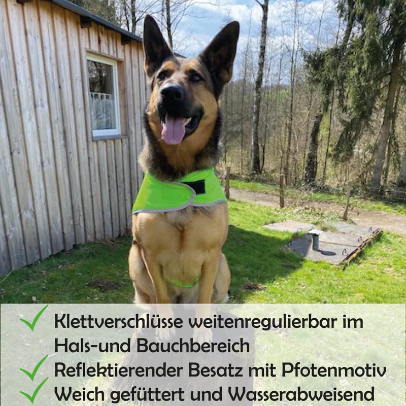 Bestlivings Reflektierende Hundewarnweste - Robust, Größenverstellbar, Reflektorweste mit Futterstoff, Sicherheitsweste für Hunde, Jacke Mantel in Grün, Größe L, Polyester