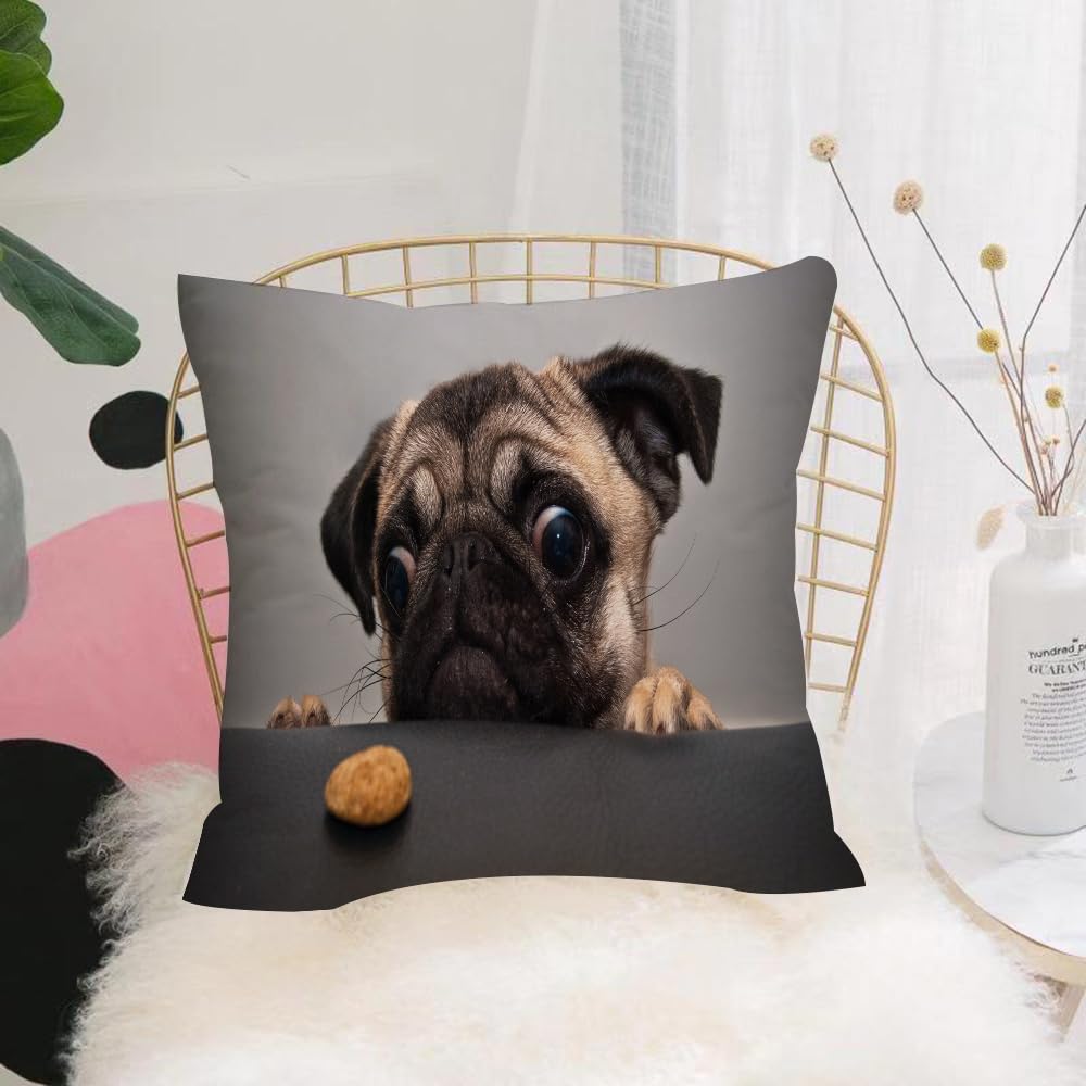 HYOSXW Cushion Cover,Throw Pillow Case Home Decorative for Living Room Bedroom Sofa Chair 16X16 Inch,animal，Cute sad pug looks at a cookie,Pillowcase 40X40cm