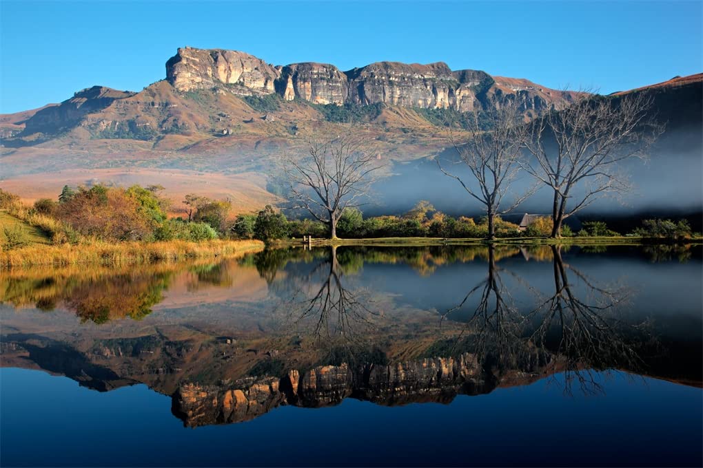 Africa: Discovering Wildlife Parks
