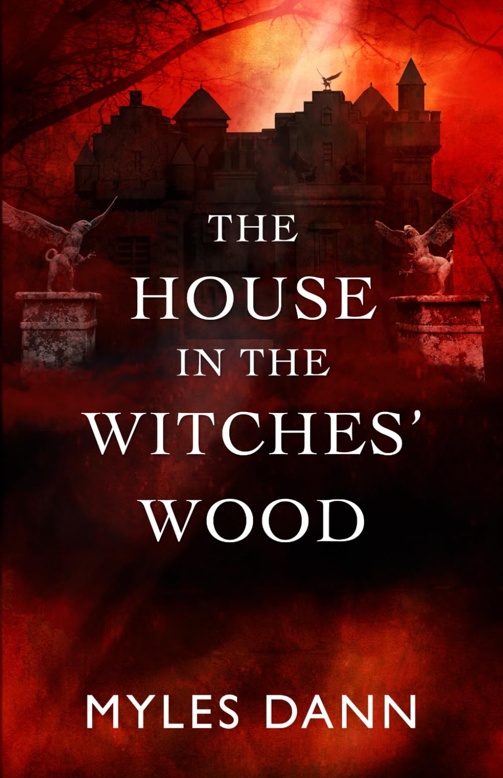 The House in the Witches Wood by Myles Dann , Paperback