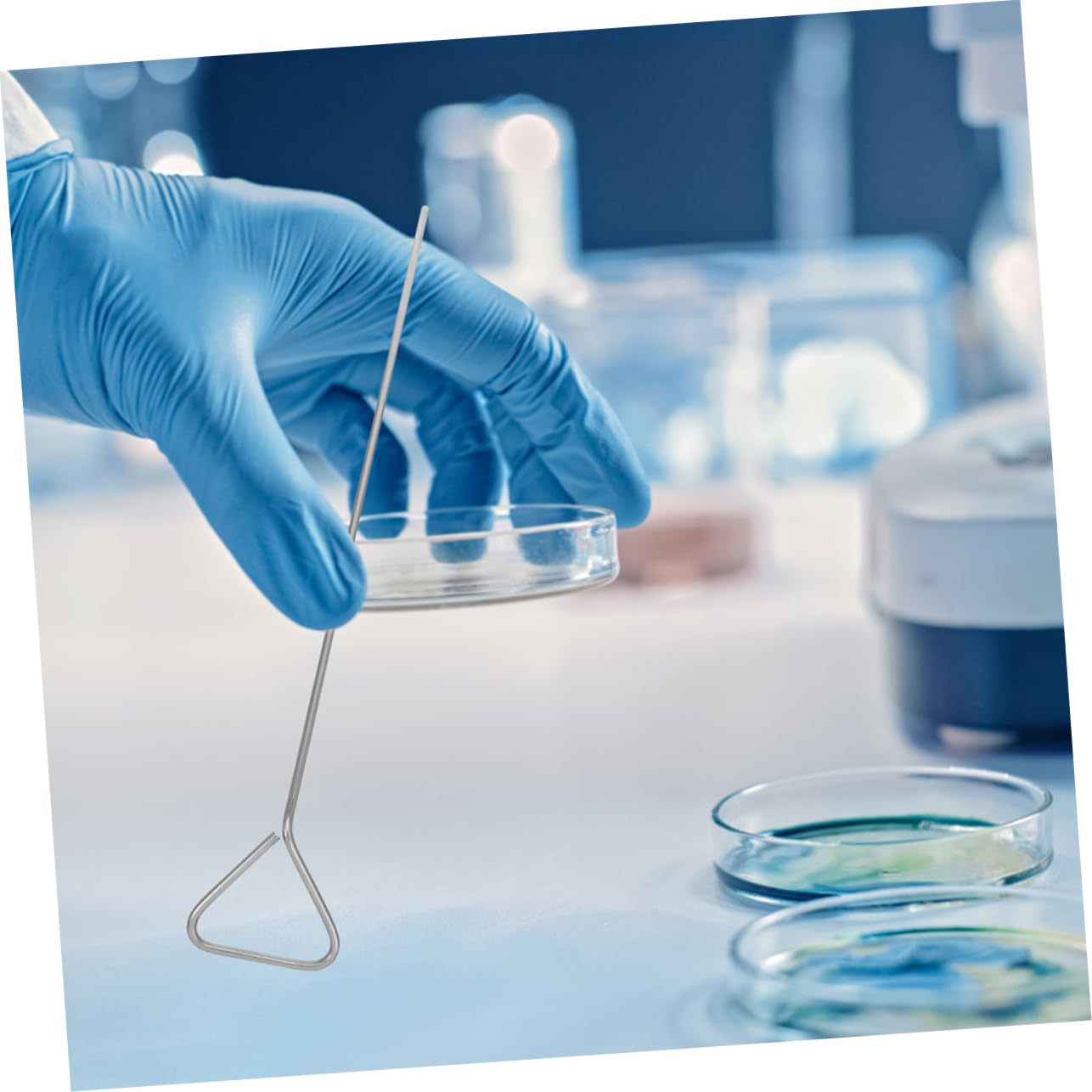 Gatuida Boîte de Petri 2 Étaleurs Triangulaires en Acier Inoxydable pour Expériences de Laboratoire, Finition Lisse, Utilisation Polyvalente