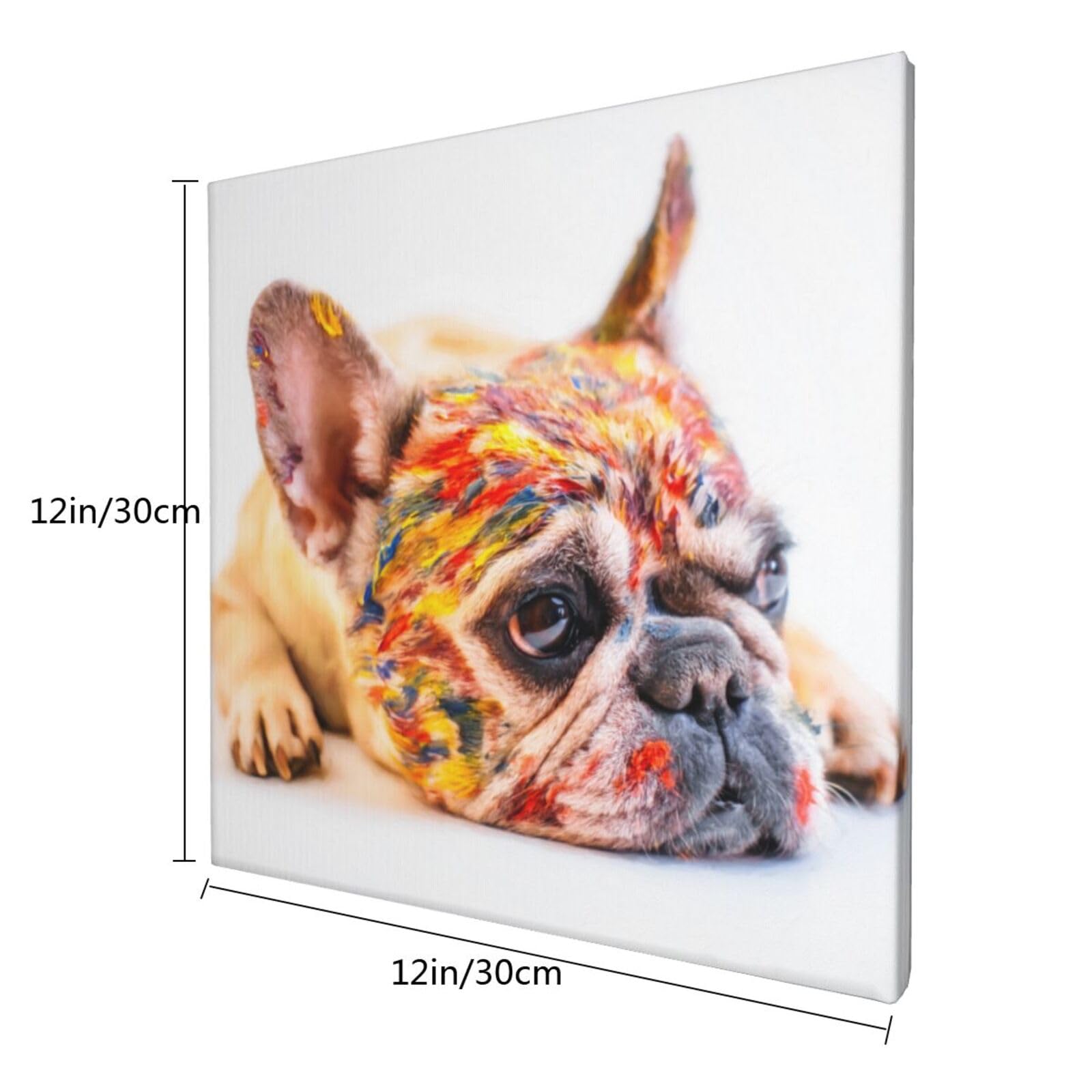 Amazon.co.jp: アートフレーム 30*30cm アートパネル カラフル