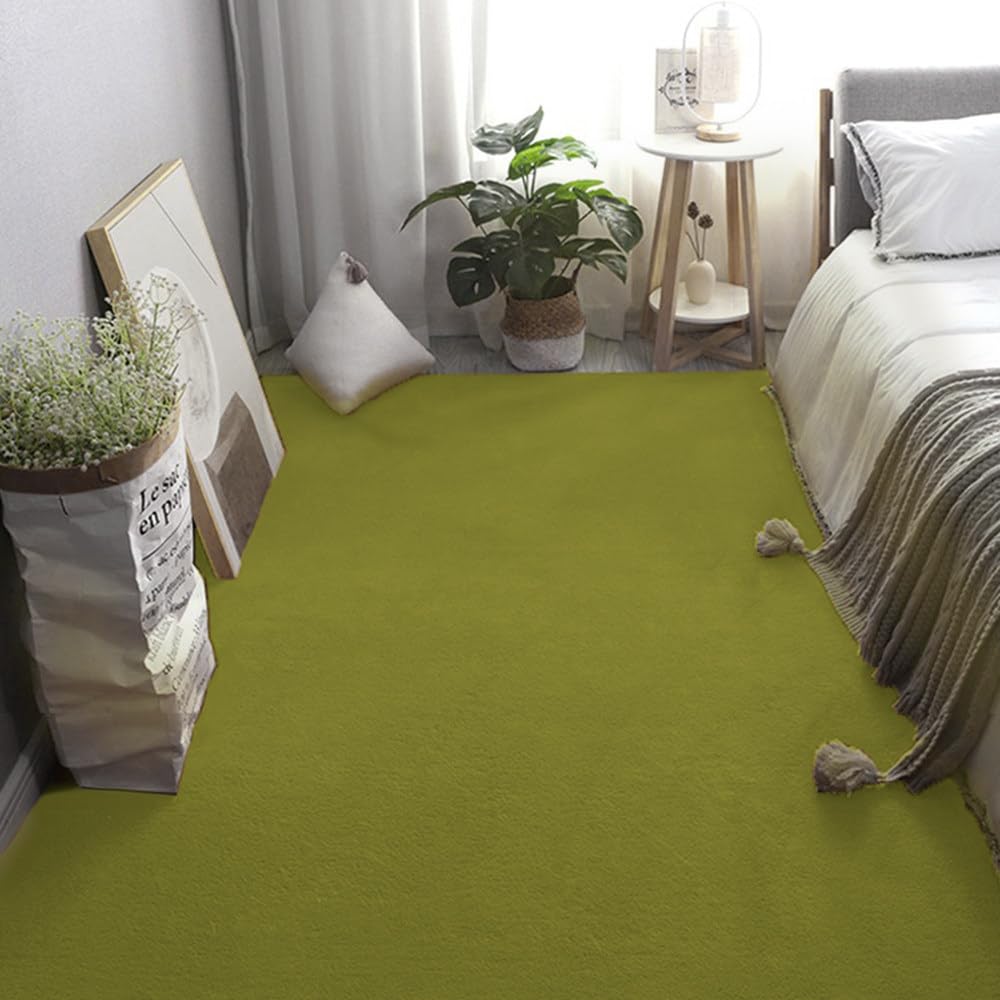 Tapis de décoration blanche maison vert herbe aux finitions soignées