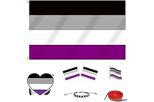 PRIDE 3x5 FT ACE Asexual Flag