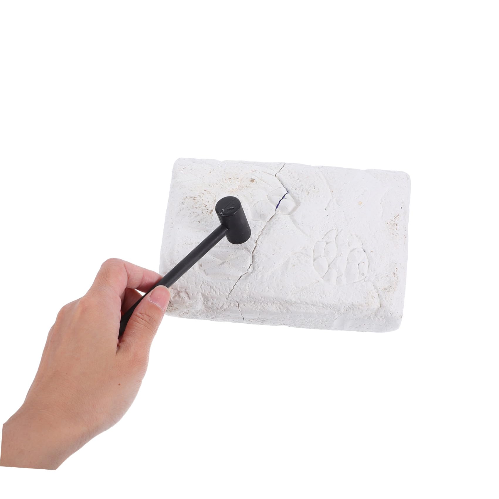 Juguete Educativo de Excavación Arqueológica 2 Juegos Blanco