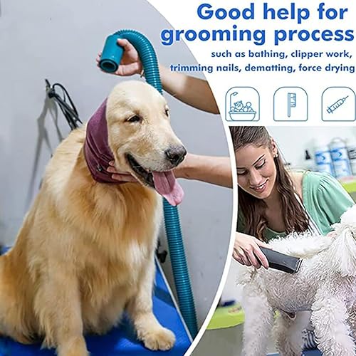 Miniatura 3 de Fundas silenciosas para orejas para perros, 3 piezas, cubiertas para orejas de perro para ruido, aseo y secado de fuerza, herramienta milagrosa para