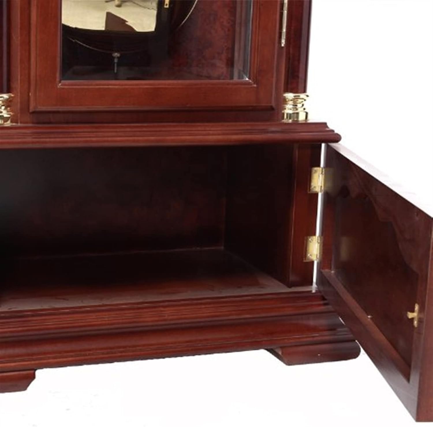 パキポディウム グラキリス 現地株 大株 短枝 ぼってり コレクション