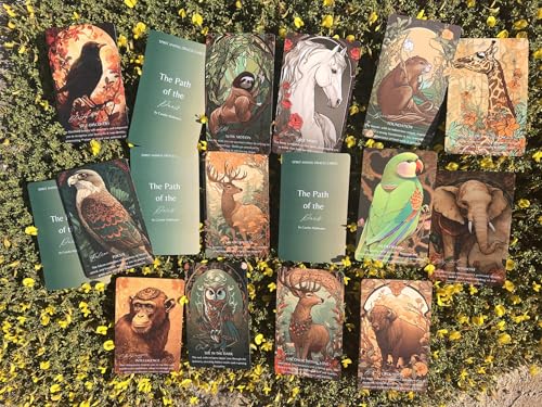 Cartes Oracle The Spirit Animal de Carolin Mallmann - One Shamanism