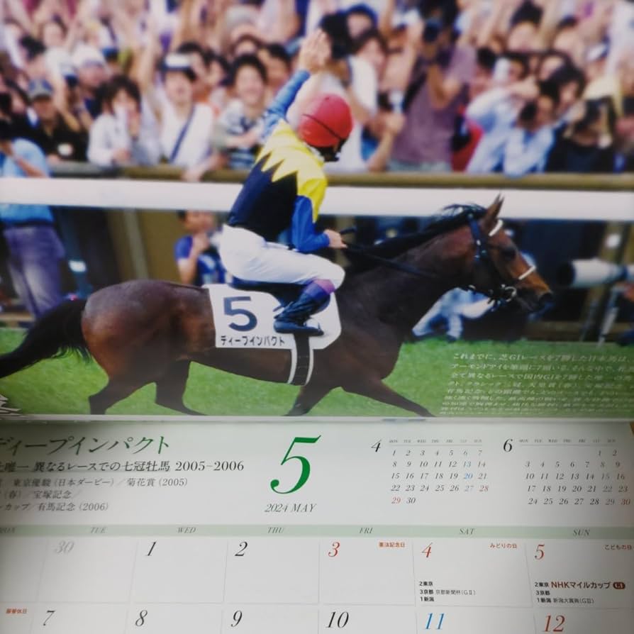 Amazon.com : JRA 2024 Calendar 70th Anniversary Horse Racing