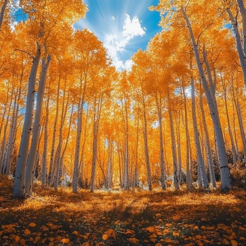 数字油絵 植物, 油絵 キャンバス 木, DIY Paint by Numbers for Adults Kits 含む アクリルペイントそして ブラシ, DIY 数字塗り絵 適切な 大人 初心者, 家庭やオフィスの壁装飾, ギフト 女性, 45x45cm