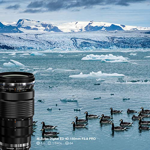Olympus M.zuiko Digital Ed 40-150Mm F2.8 Pro International Version (No Warranty) #TOP5
