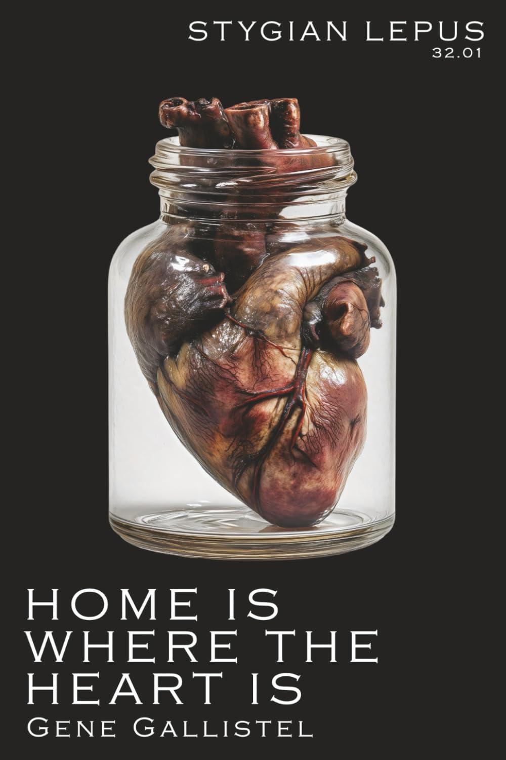 Home is Where the Heart (The Stygian Lepus Supplementals)