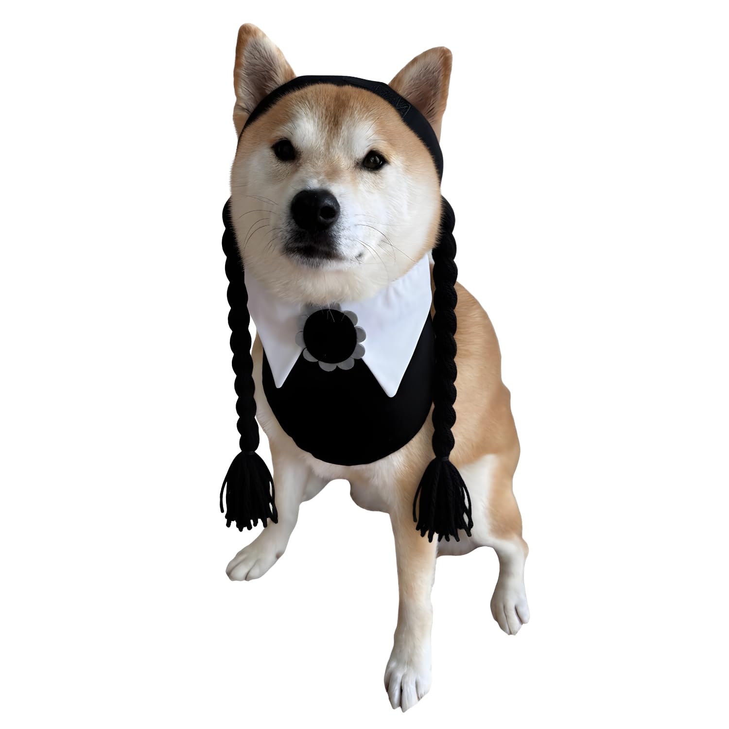ComfyCamper Dog Gothic Tuxedo Neck Collar Costume - XS XXS XXL Spooky Formal Tux Outfit Cosplay Halloween, M