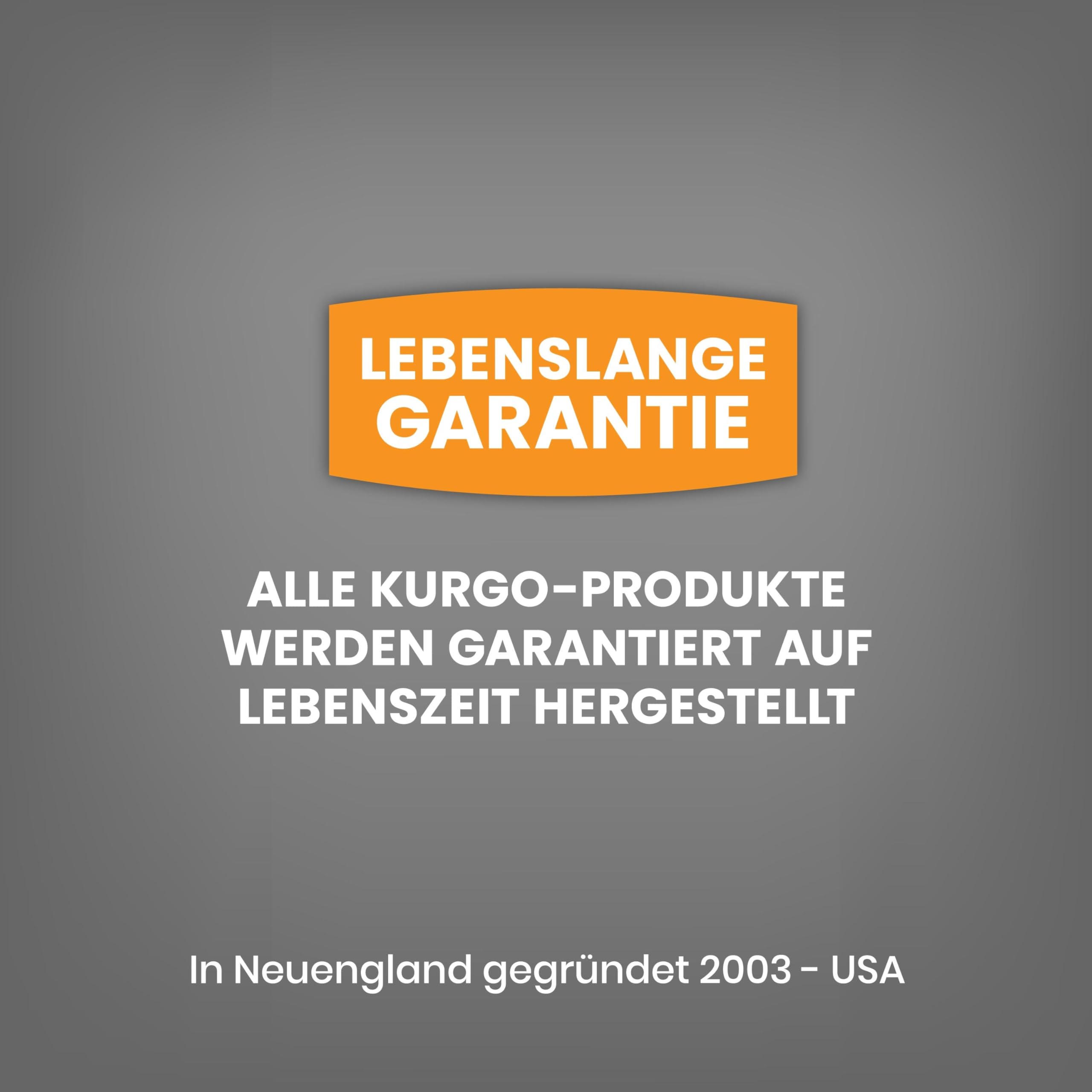 Kurgo G-Train Hundetransportrucksack - Bequemer Reiserucksack für kleine Hunde bis zu 11 kg - Robustes Design - Laptopfach - Armorsole-Boden - Wasserabweisend - Schwarz