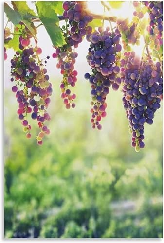 Póster de viñedo, póster de plantas de fruta de uva, póster de bodega de vino, póster de huerto, impresiones artísticas para decoración de pared,