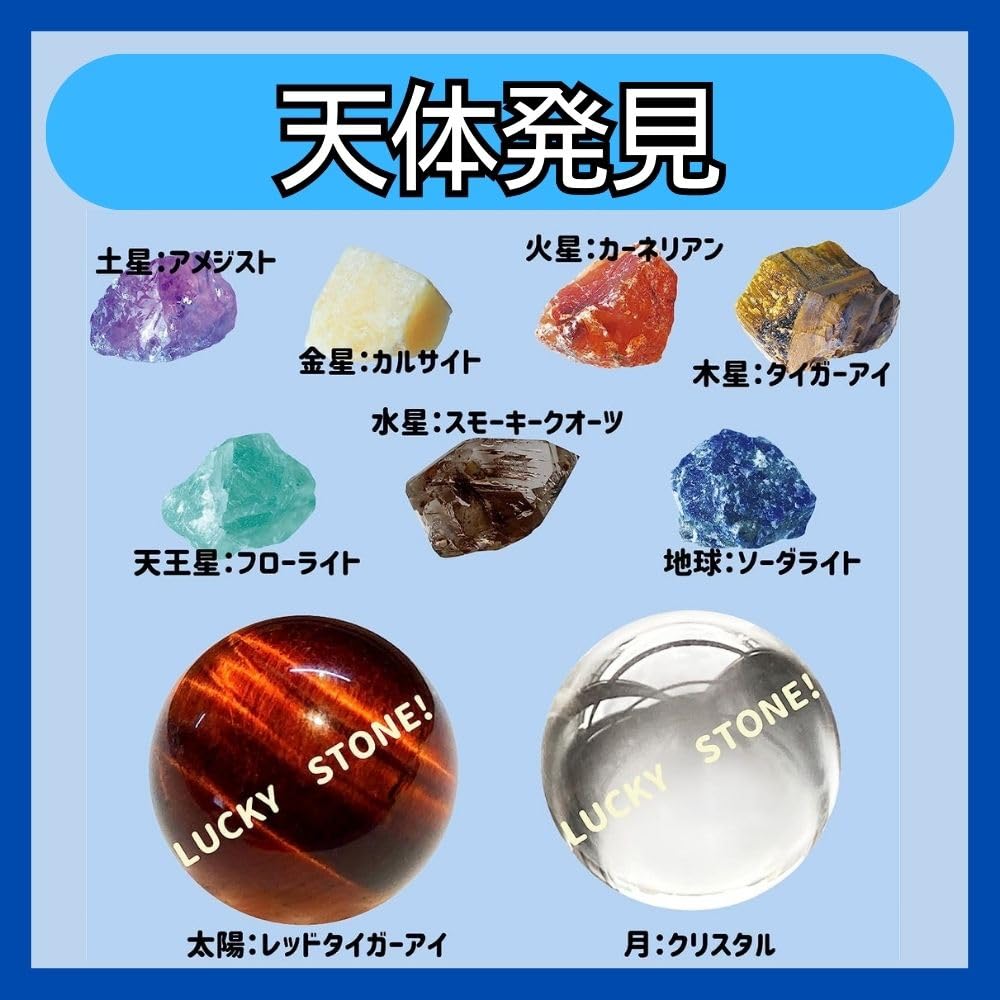 Amazon.co.jp: 【全種セット】ノルコーポレーション 宝物発見シリーズ