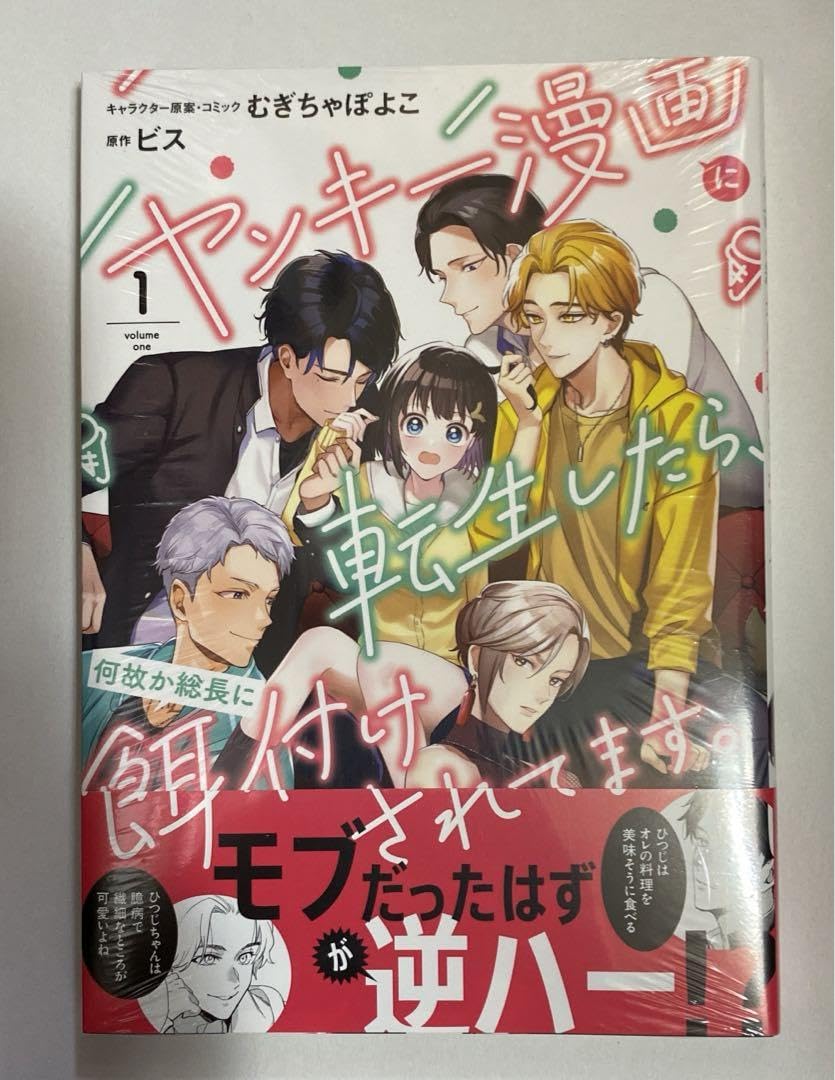 Amazon.co.jp: ヤンキー漫画に転生したら、何故か総長に餌付けされて