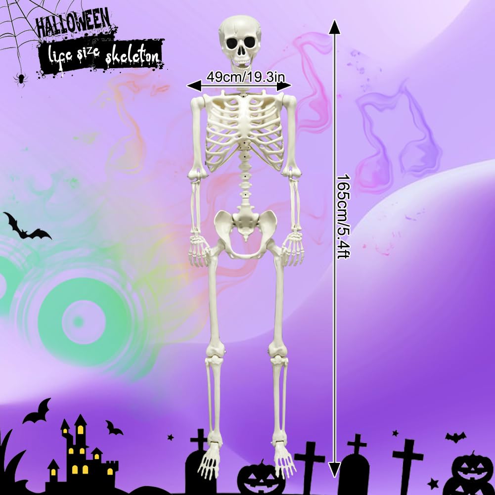 Esqueleto de Halloween de 165 cm, esqueleto de cuerpo completo con capa negra, huesos humanos de tamaño real para Halloween, patio delantero, patio, césped, jardín, accesorios de decoración de fiesta