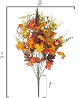 Vista 2 de Admired by Nature