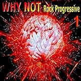  Gibson 335 Custom Deluxe