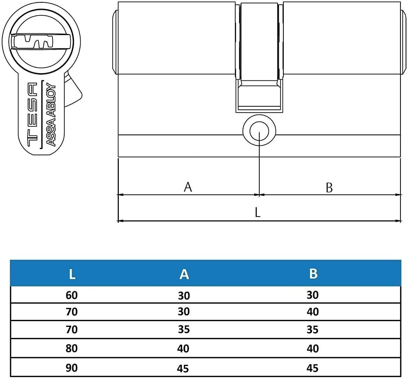Tesa Assa Abloy, TK153030N, Cilindro de Alta Seguridad, TK100, Doble Embrague, Leva Larga, Niquelado, 30 x 30 mm