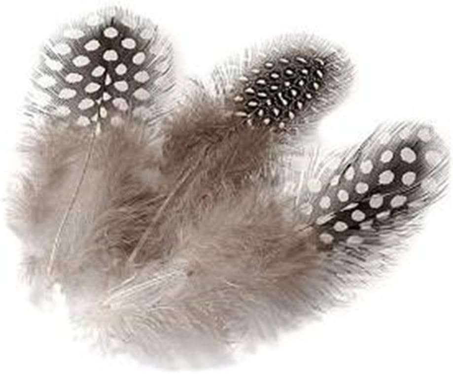 ERGEOB PANAX nature decoration rooster feathers 100pcs, 4-10cm/ 1.6-4 Inches lengths, Great for crafts, Handwerk, DIY, hats, earring, home decor, DIY Grey