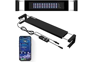 Saltwater Aquarium Light: The Reef's Radiant Revelation