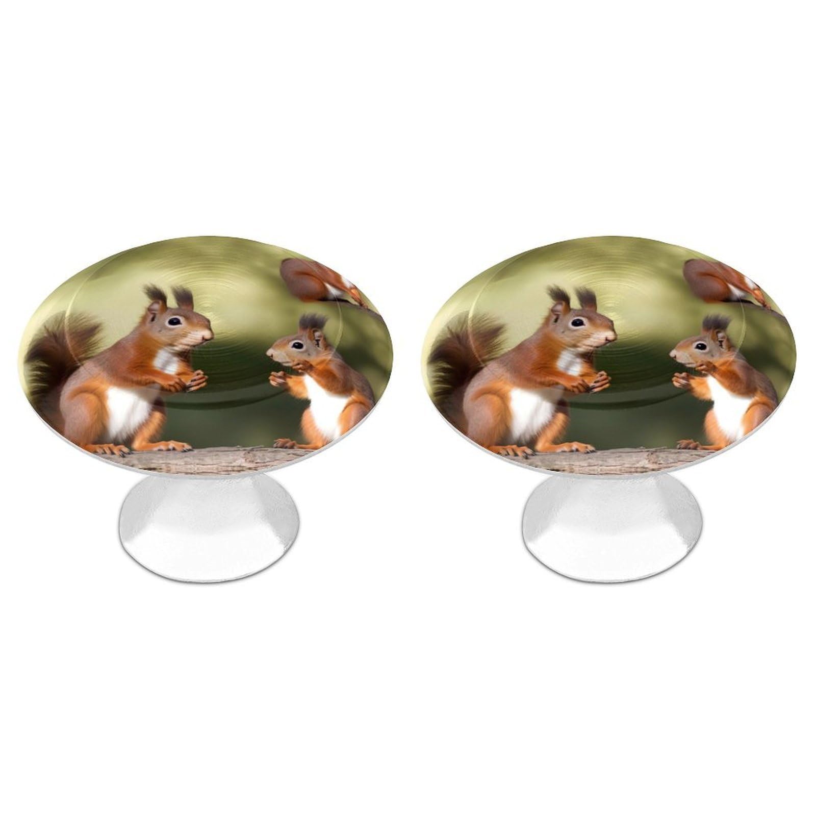 NTVOWPZO Cabinet Handles Round Drawer Pulls Cute Squirrels Dresser Knobs for Cabinets and Drawers Handle for Bathroom Cupboard Drawers Cabinet Pulls for Kitchen Door