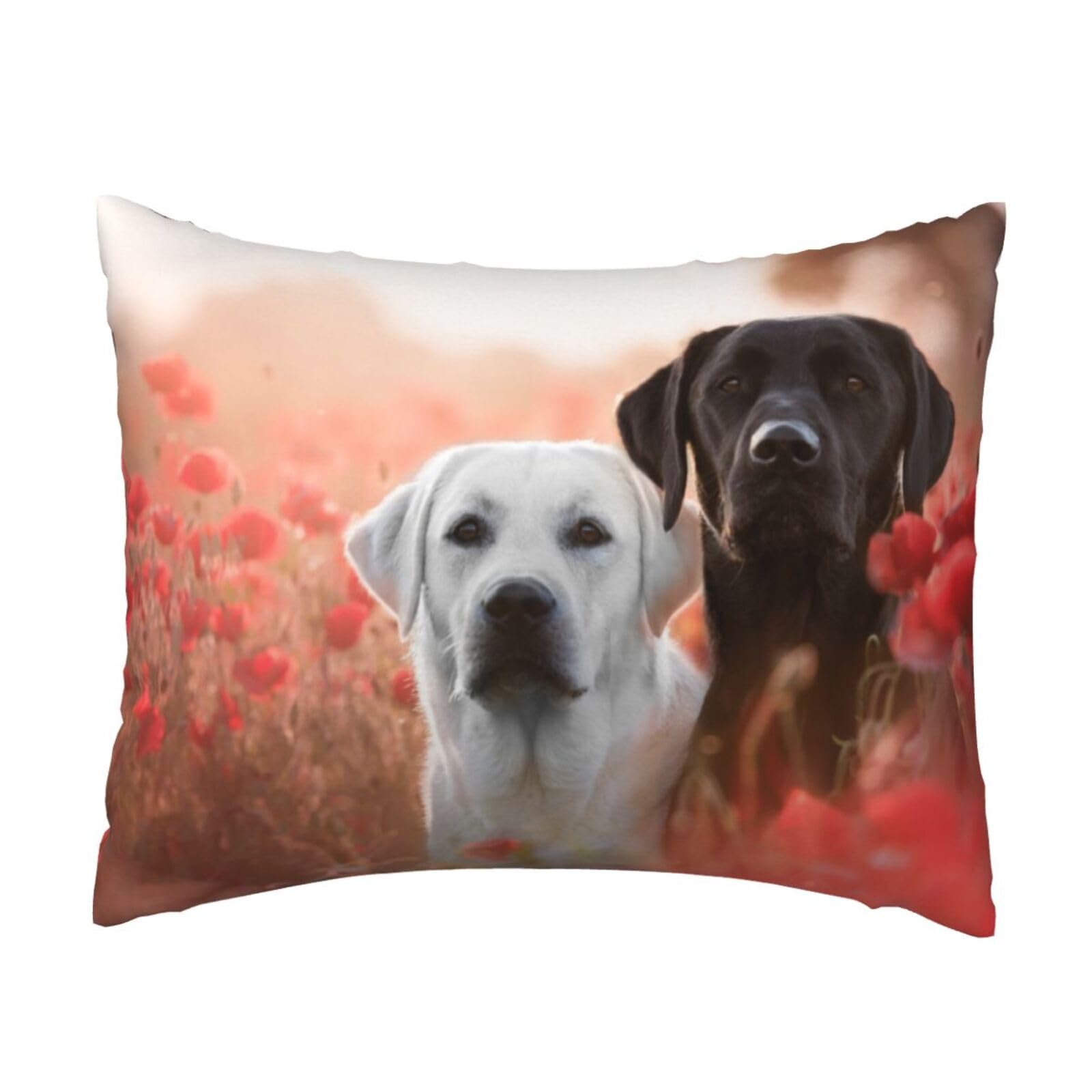 WSHFFILO White Labrador printed Pillow Case 20x26in Decorative pillowcase Throw Pillow Cover