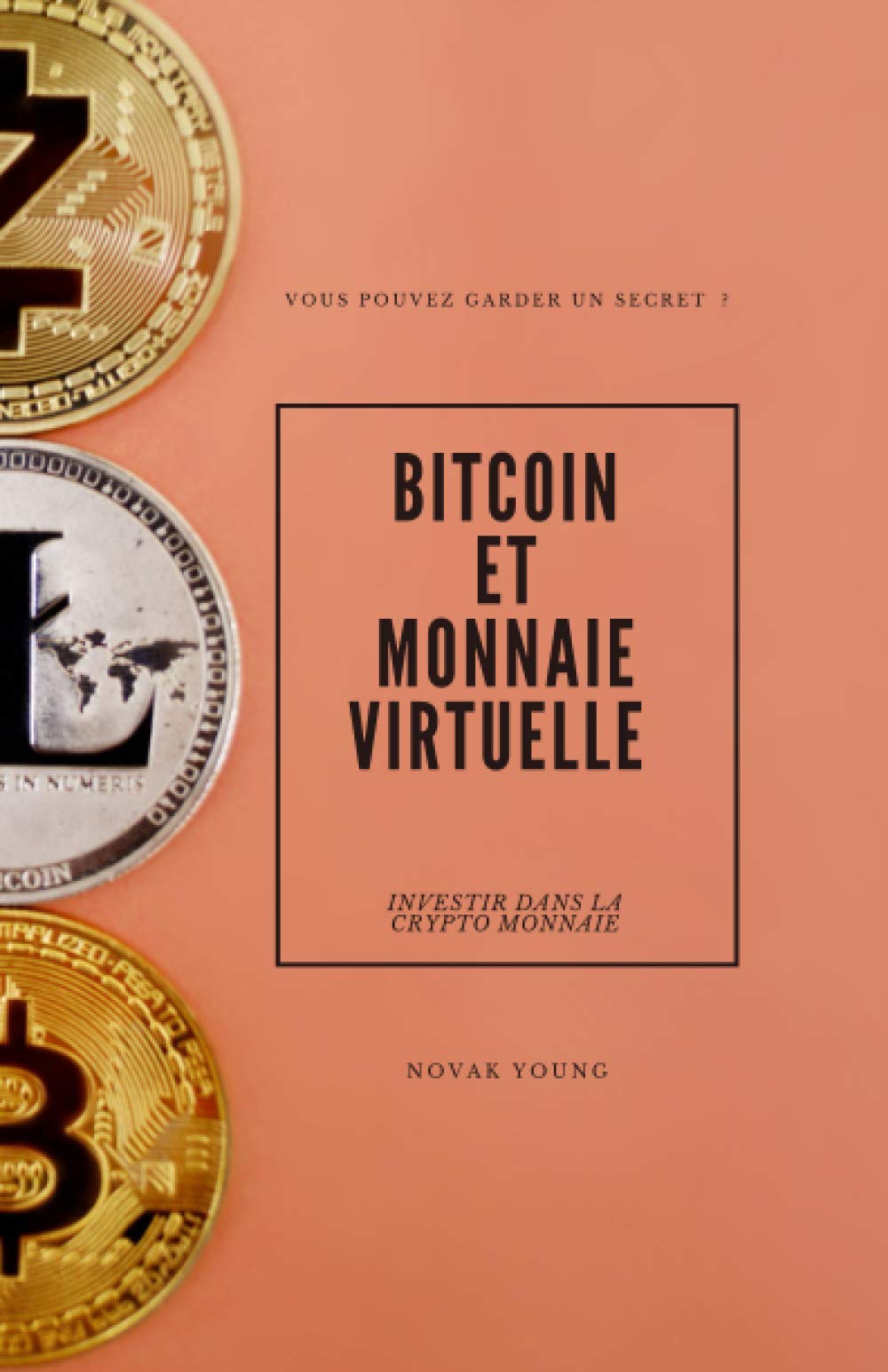 Amazon.fr - BITCOIN ET MONNAIE VIRTUELLE : INVESTIR DANS LA CRYPTO MONNAIE:  // TOUT SAVOIR // TOUT APPRENDRE // LES BASES // LES FONDAMENTAUX - Young,  Novak - Livres