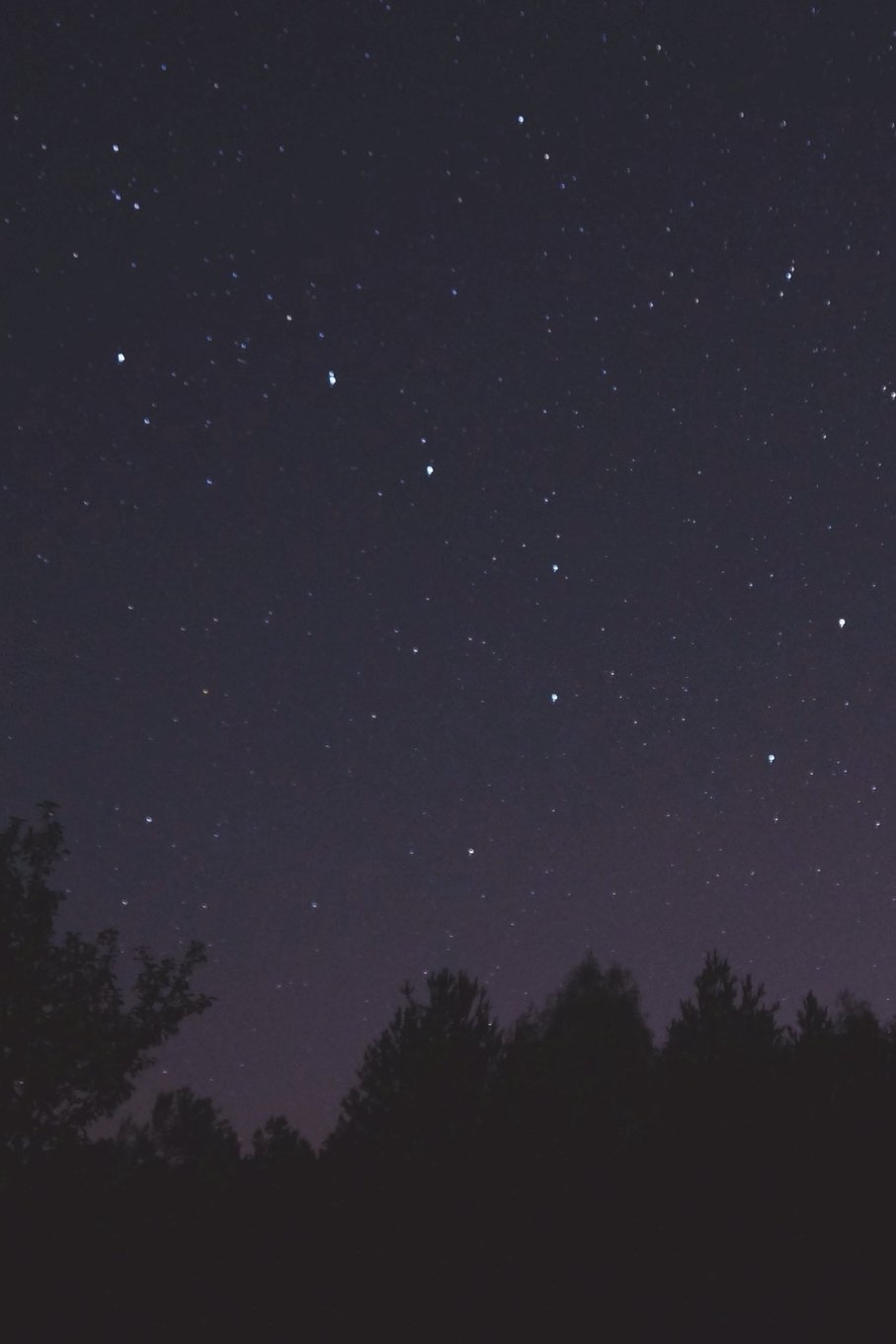 Constellation: Ursa Major / Great Bear / Big Dipper Journal: 150 page lined notebook/diary