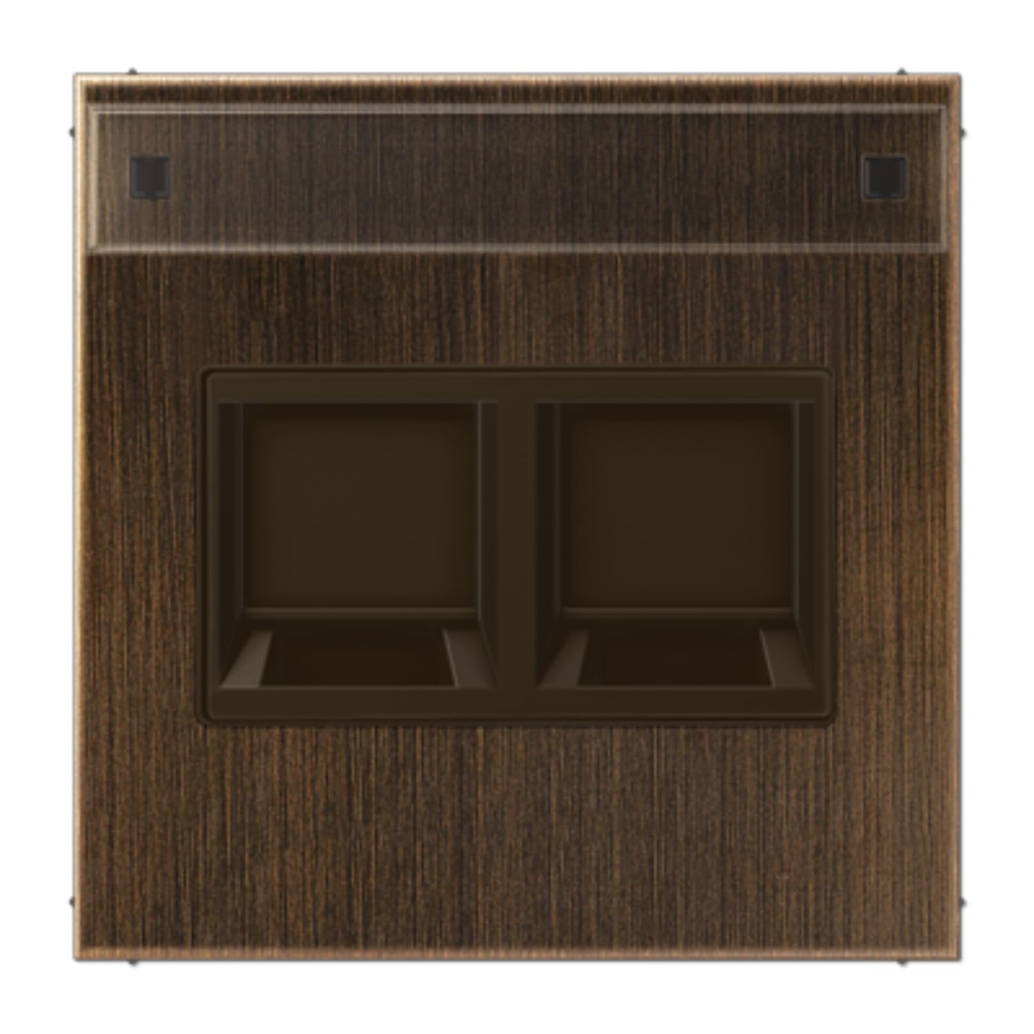Plaque modulaire Jack-Rad JUNG en laiton antik, l'élégance intemporelle pour vos prises